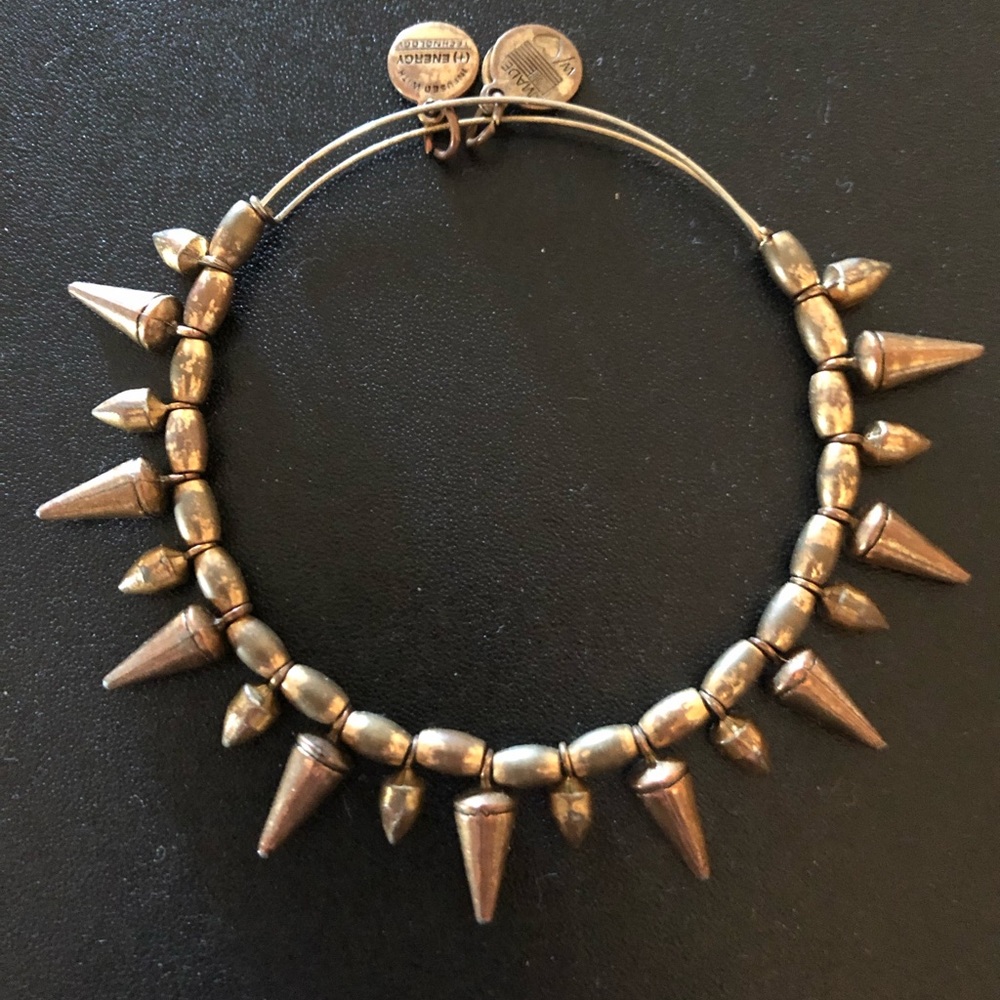 Alex and Ani Spike Bangle